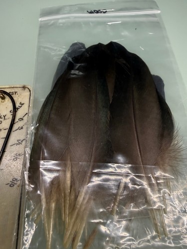 Wood duck wing coverts - wood,